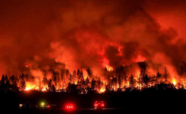 Fires To Top $275 Billions in Damage